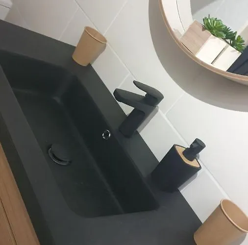 Appartement Les Lauriers Colmar