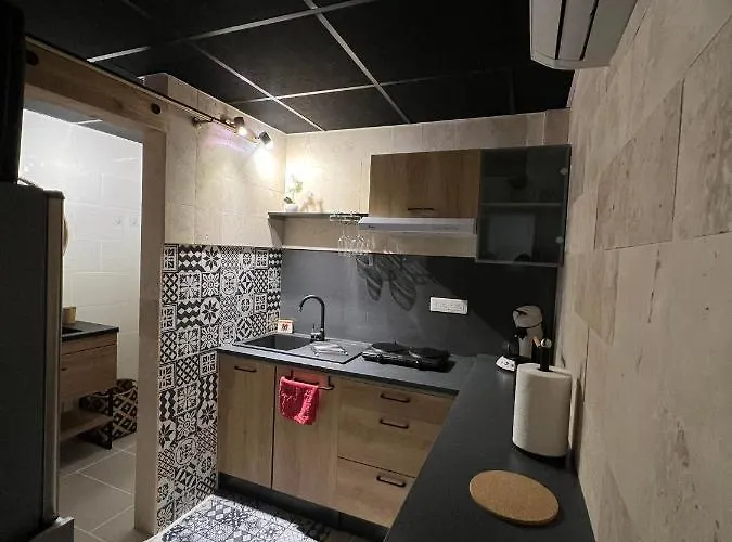 Appartement Les Lauriers Colmar